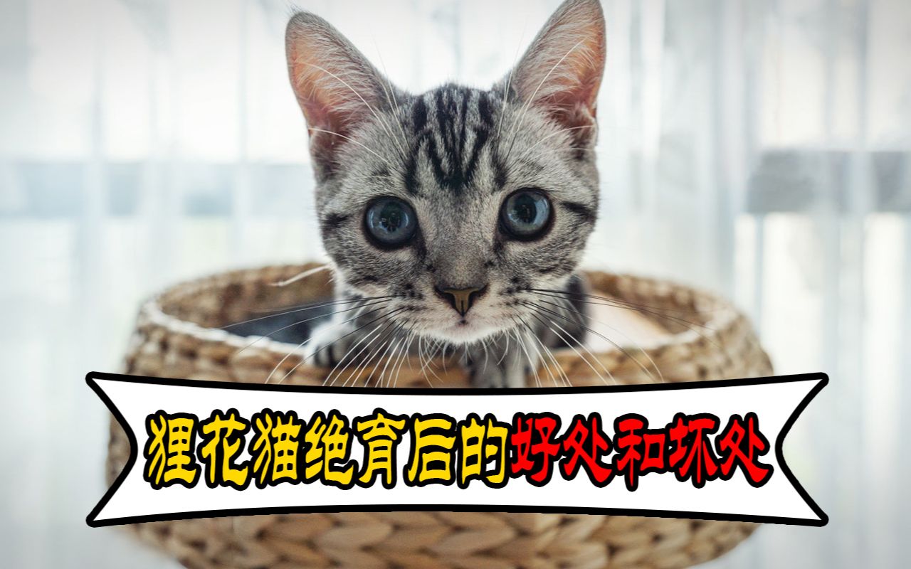 èǮ