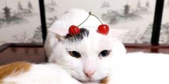èһ귢鰡,Ϊʲôèһ귢һ飿