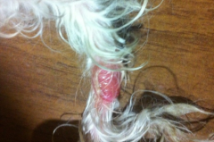 ����β��������ô����