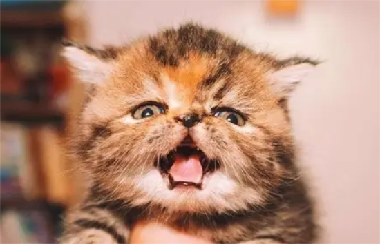 èҲд˺Ӧϰ