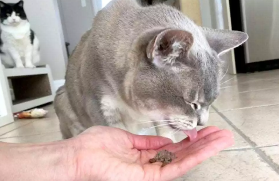 èʶԼĴ󣬲̷ʡ