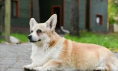 ͻȻͽУܺЩԭ
