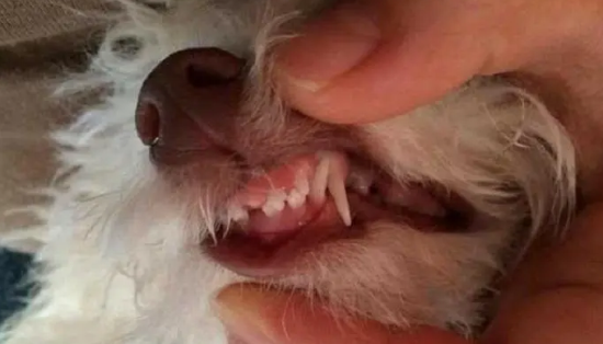 ʱǴӼ¿ʼ