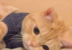 èŻû񲻳Զô