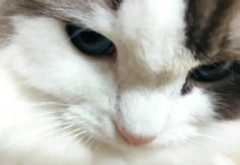 èĳܾ޴ѹʱͨ