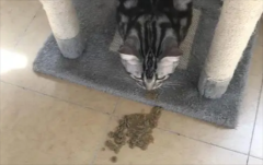 èͻȻŻ