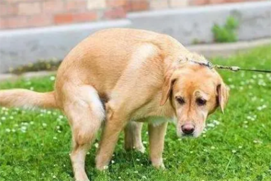 ȮʺеܳΪʲô