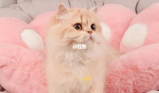 Сè˯һֱ๾̽ԭ