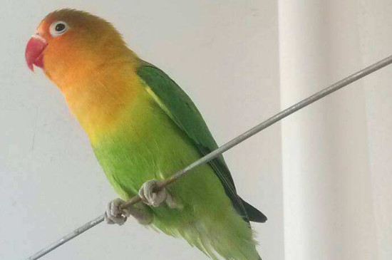 ˮιĵȷ