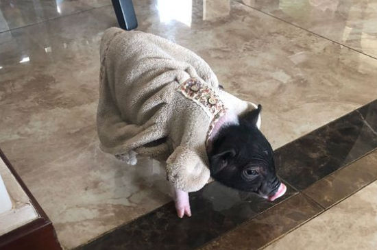 ʲô