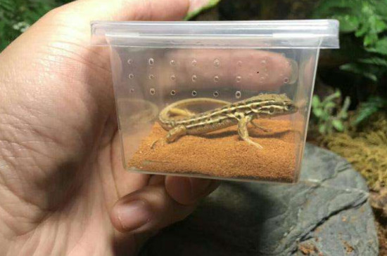 ೤ʱ䣬Ի