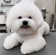ܲȱô죿
