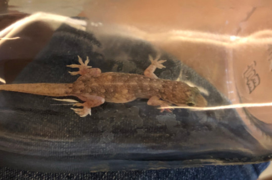 ڻʲôˮ