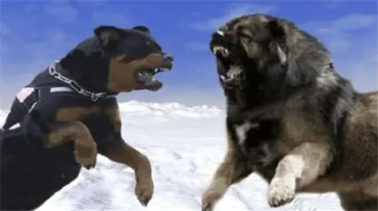 ʲôù