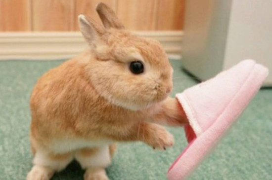 ϲʲô