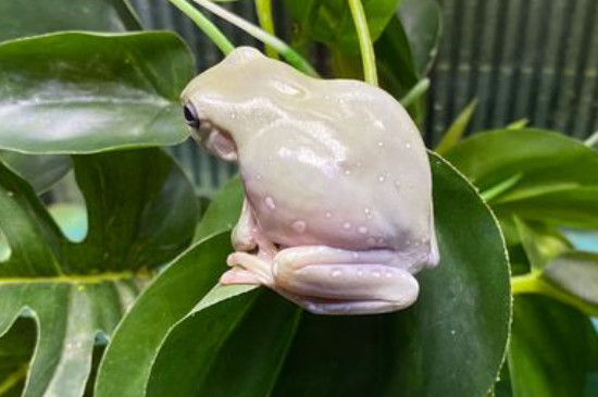 ܳʲô