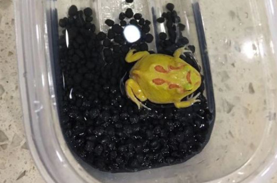 ж