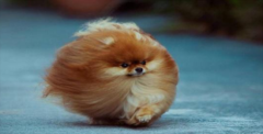 Ȯȱ