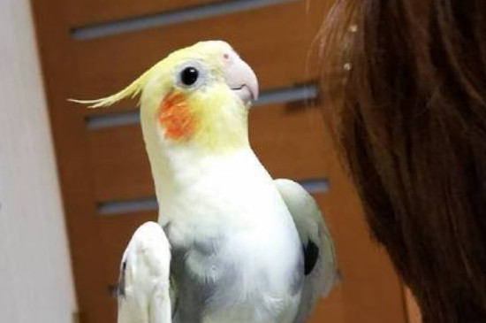 һ㼸