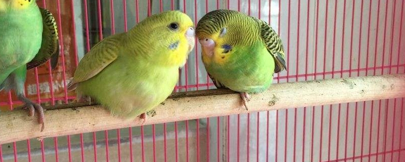һ㼸