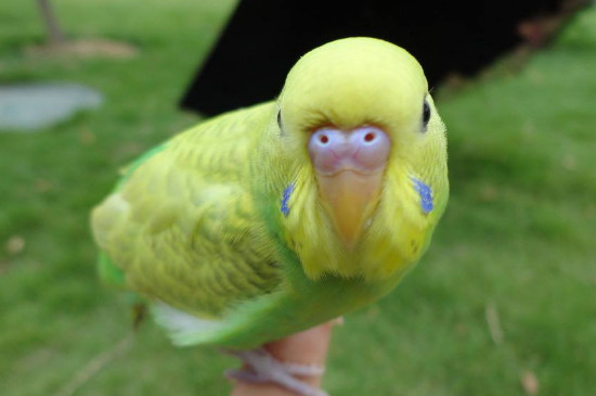 һ㼸