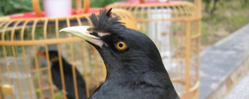 ˸ʲôʱ