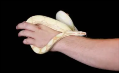 ߵͼƬ