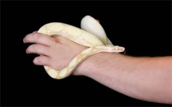 ߵͼƬ