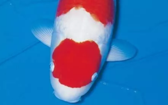 Ҫ㣬޷ǾЩ