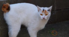 èİ취