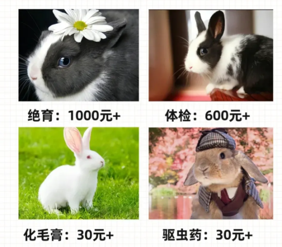 ˵ӣ֪ҪǮ