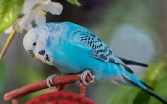 ʲô˵