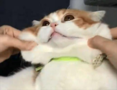 Ϊʲôèһѱ