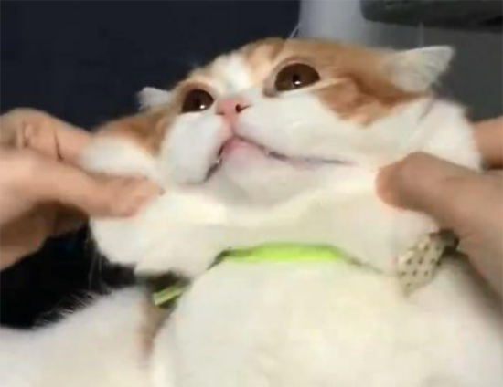 Ϊʲôèһѱ