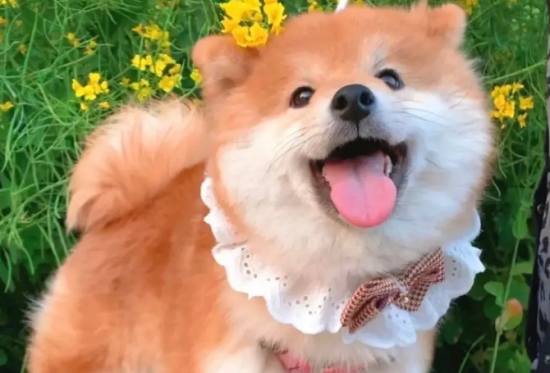 Ȯëɫм