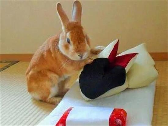 ͻɾ