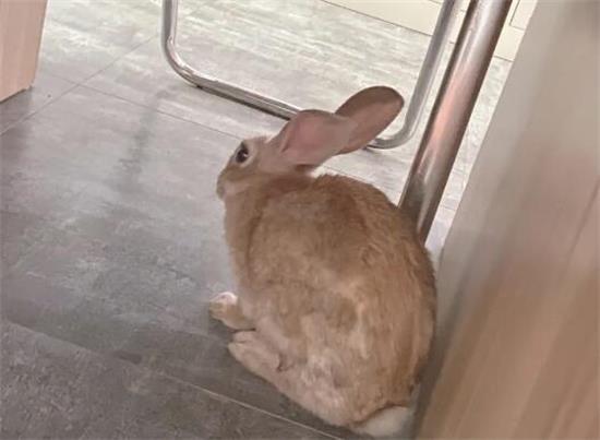 ڻؼҵ·ϼһֻС