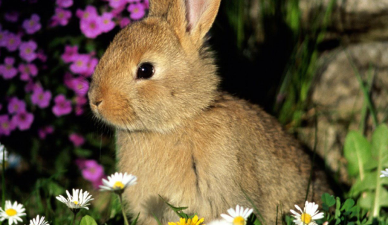 ӵķֳܣһα
