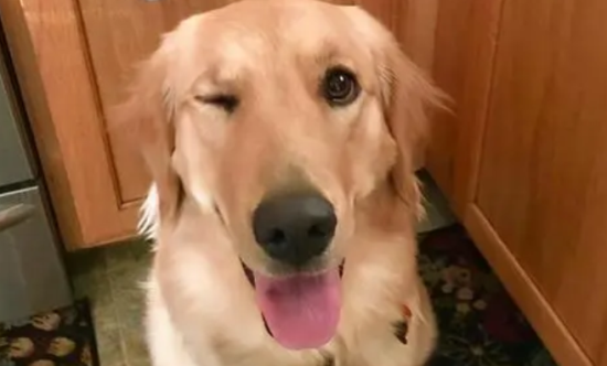 ôȡȽ˻˳