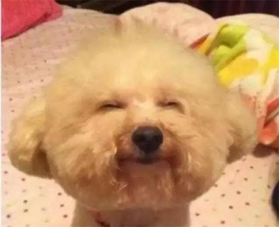 ȮѿȵҪƷ