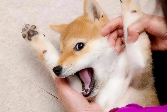 ߣҲôི