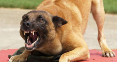 ʱʲô