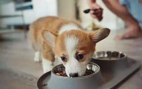 ˸ô