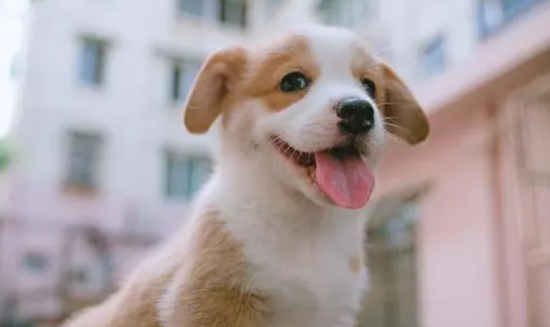 Ϊʲôҡβ