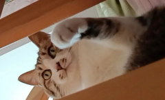 èڼҴˣ6֣˵ö