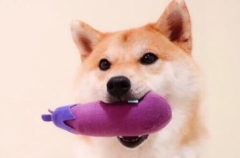 Ȯѿȳʲôҩ