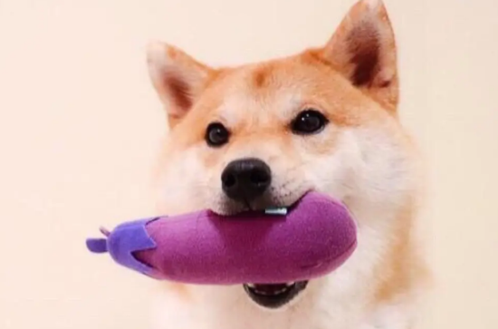 Ȯѿȳʲôҩ