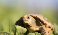 ʺϺˮ