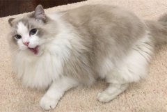 èҪ೤ʱ䣿