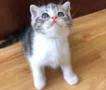 èпȮ